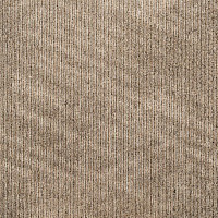 Ковровая плитка Art Exposure Коллекция Academic View Academic View 853 фото 1 | FLOORDEALER